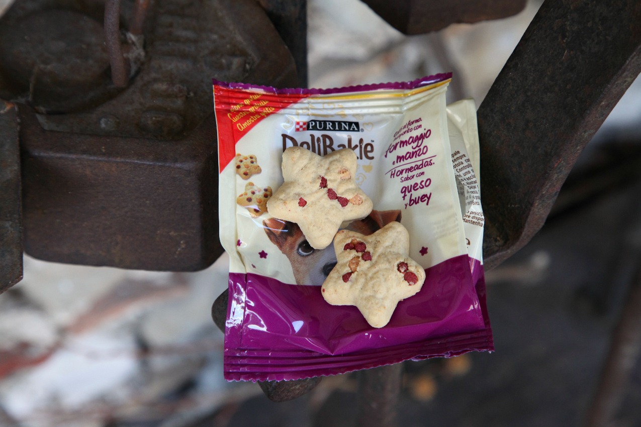 #PausaConDelibakie di Purina: snack golosi e locali pet-friendly per i nostri amici a quattrozampe, alessia milanese, thechilicool, fashion blog, fashion blogger, purina delibakie