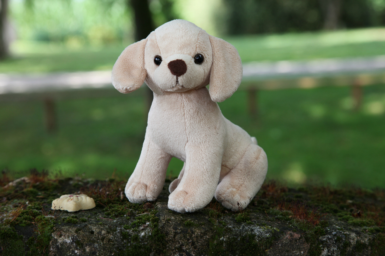 #PausaConDelibakie di Purina: snack golosi e locali pet-friendly per i nostri amici a quattrozampe, alessia milanese, thechilicool, fashion blog, fashion blogger, purina delibakie