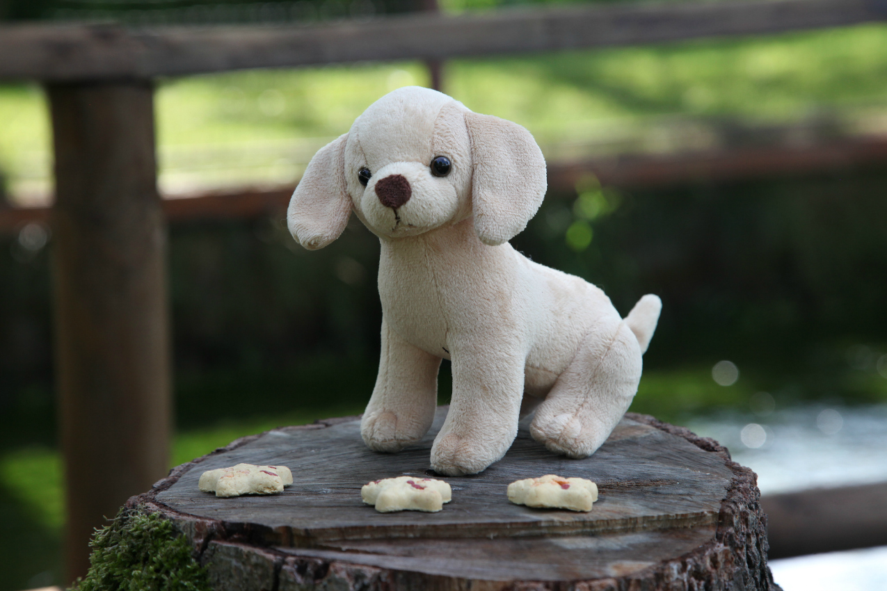 #PausaConDelibakie di Purina: snack golosi e locali pet-friendly per i nostri amici a quattrozampe, alessia milanese, thechilicool, fashion blog, fashion blogger, purina delibakie