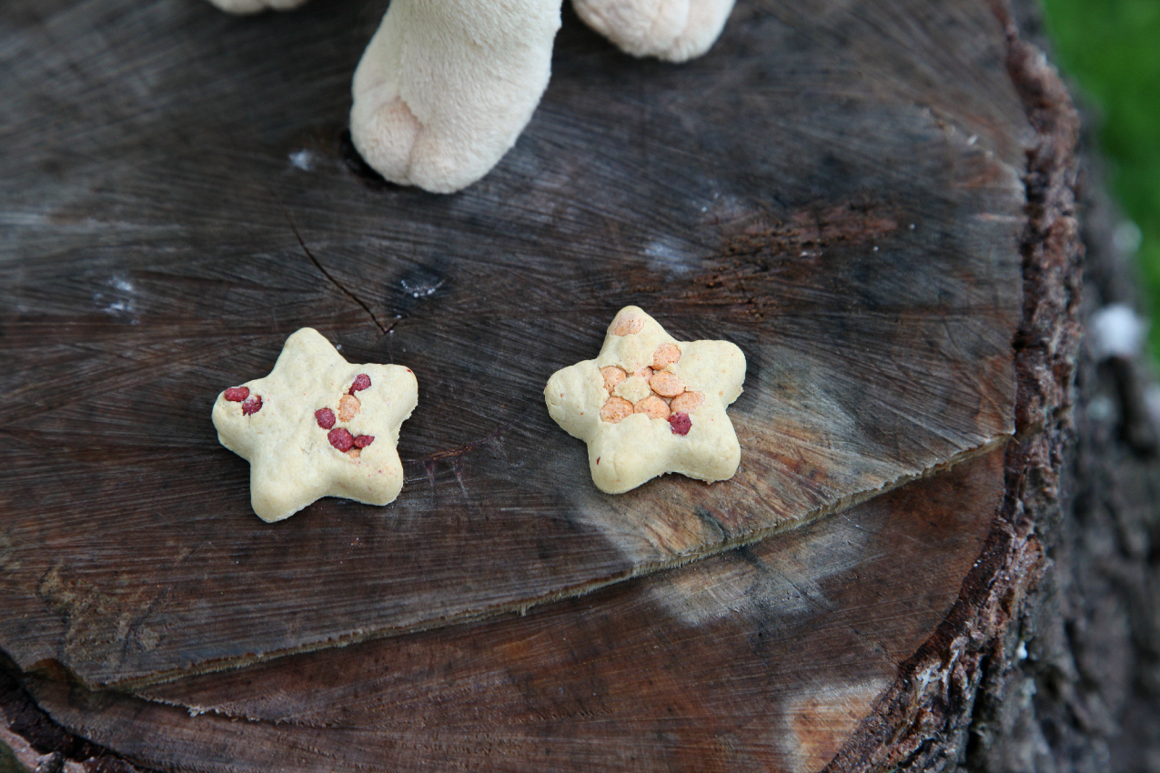 #PausaConDelibakie di Purina: snack golosi e locali pet-friendly per i nostri amici a quattrozampe, alessia milanese, thechilicool, fashion blog, fashion blogger, purina delibakie