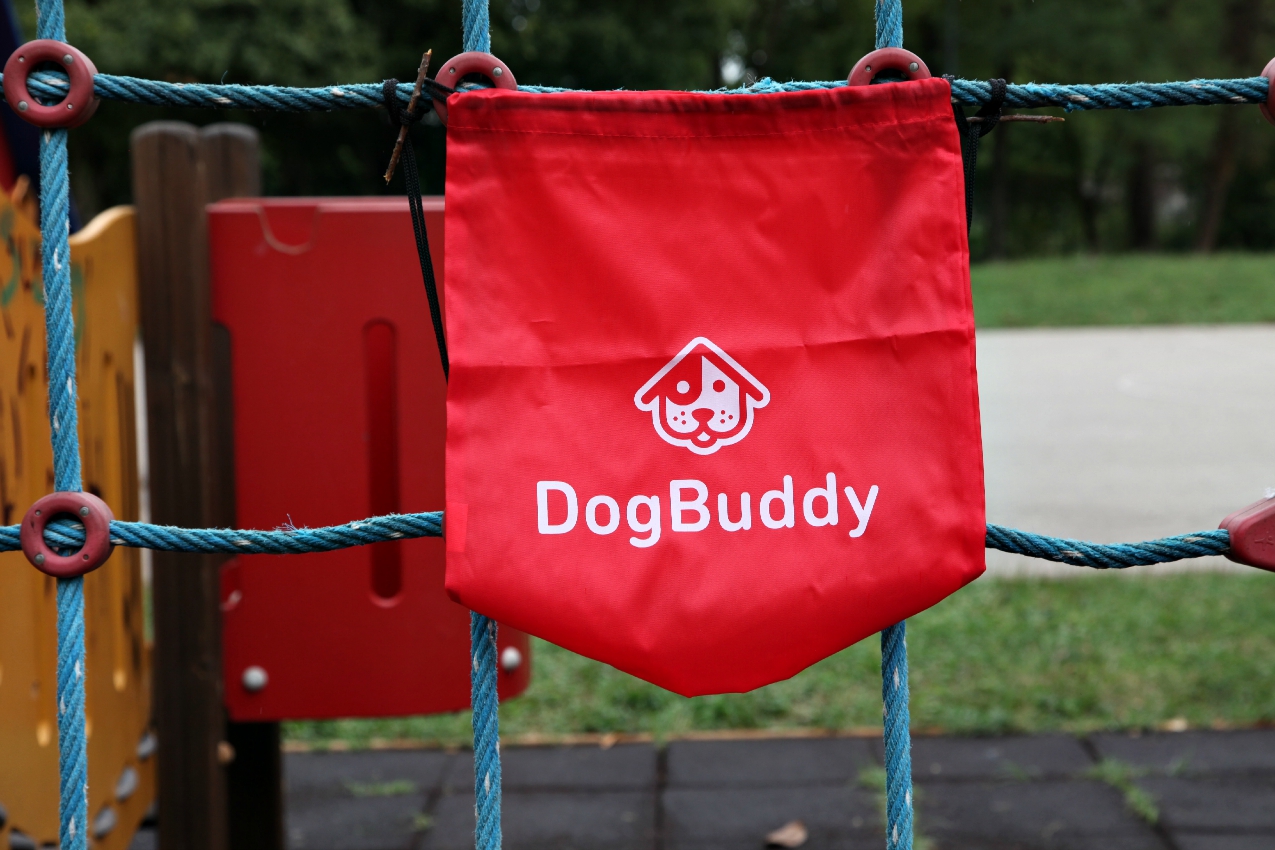 #DogBuddy: dog sitter è fashion!, alessia milanese, thechilicool, fashion blog, fashion blogger