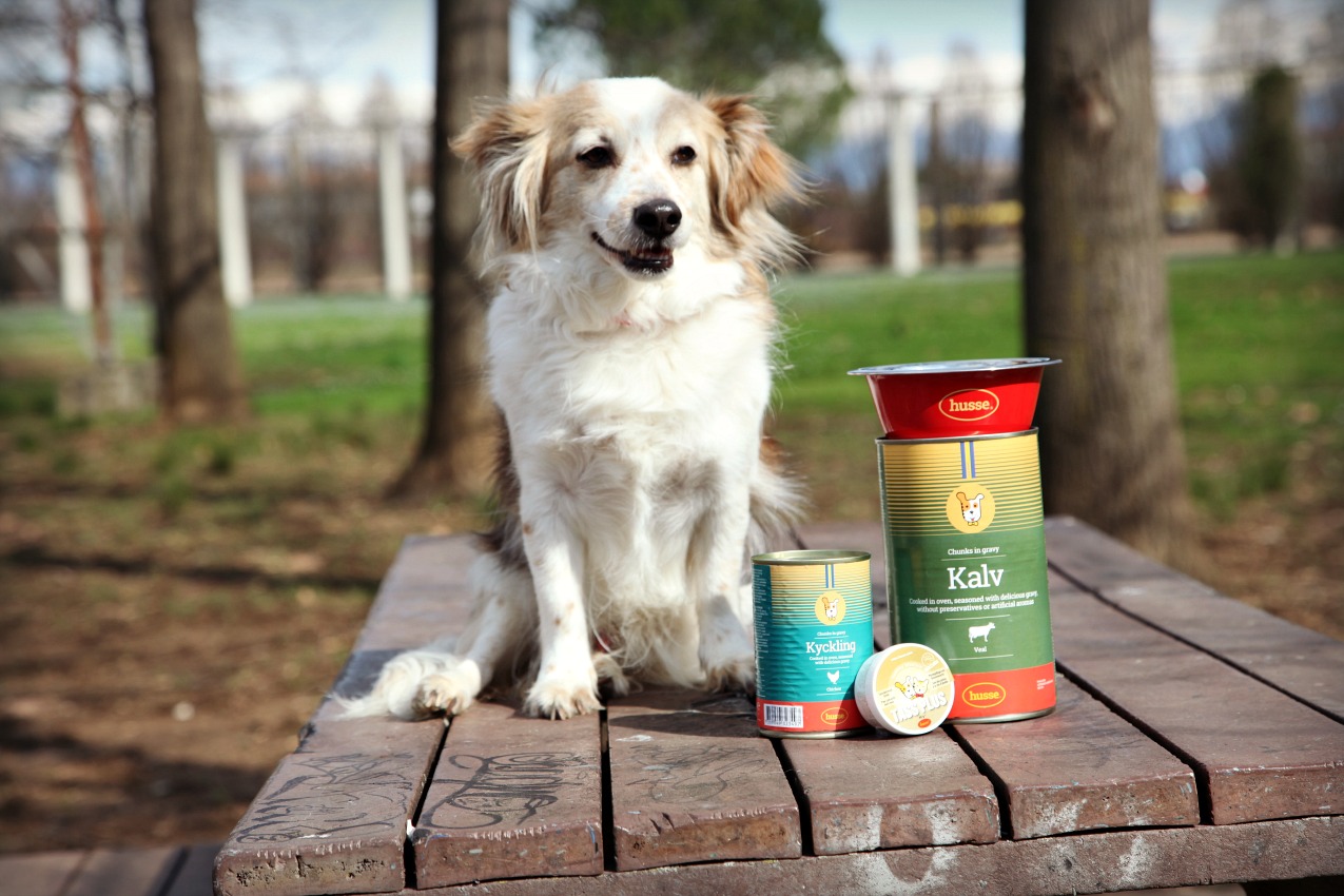 Husse: quando l'amore per gli animali significa scegliere il meglio, alessia milanese, thechilicool, fashion blog, fashion blogger , pet food