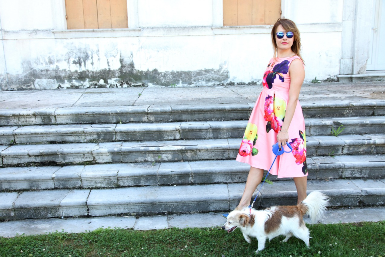 Mongrelpet: il meglio per i nostri animali, alessia milanese, thechilicool, fashion blog, fashion blogger