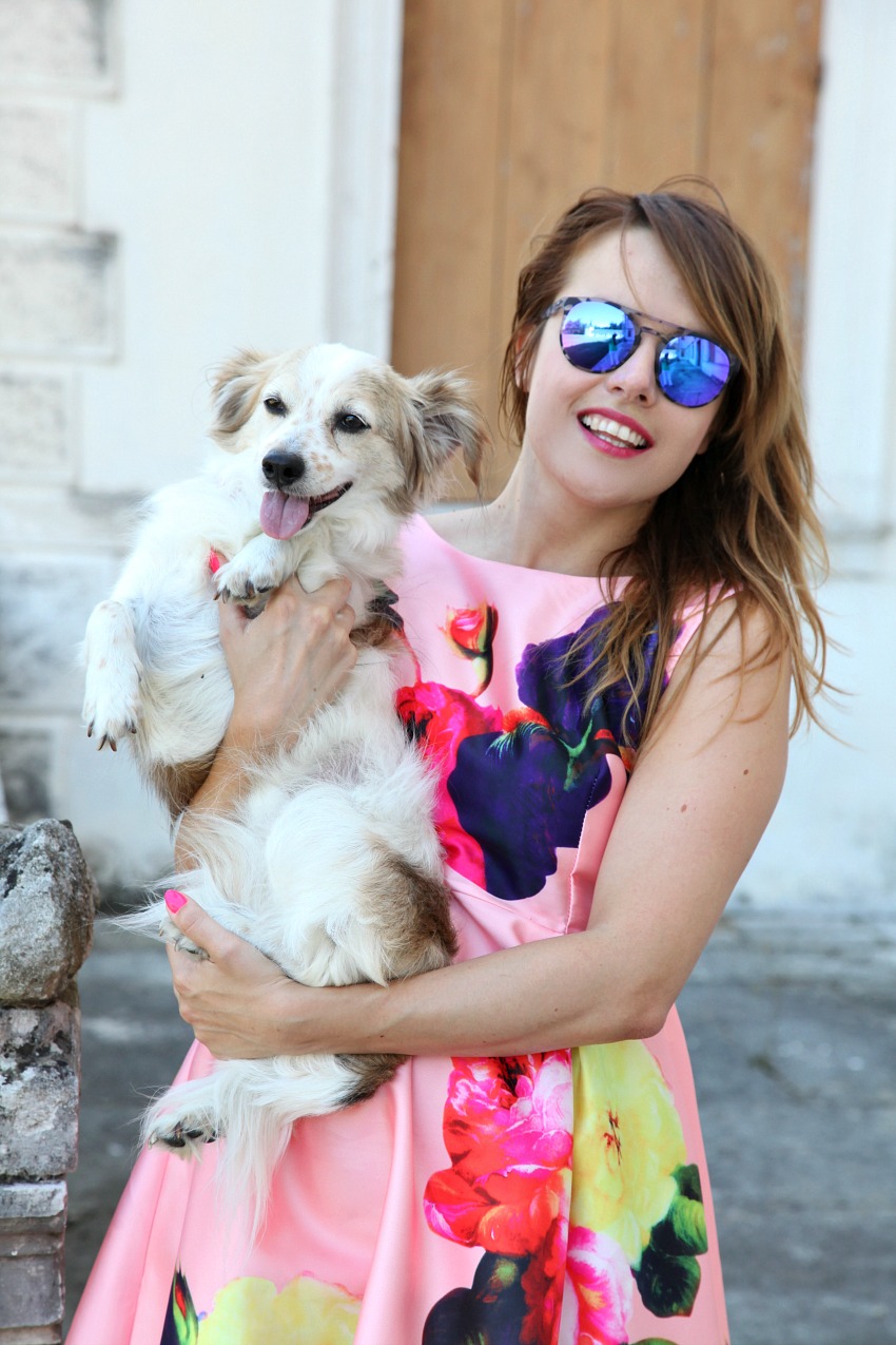 Mongrelpet: il meglio per i nostri animali, alessia milanese, thechilicool, fashion blog, fashion blogger