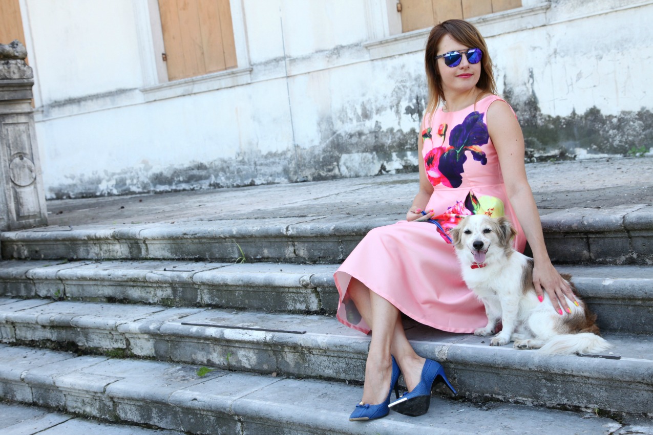 Mongrelpet: il meglio per i nostri animali, alessia milanese, thechilicool, fashion blog, fashion blogger