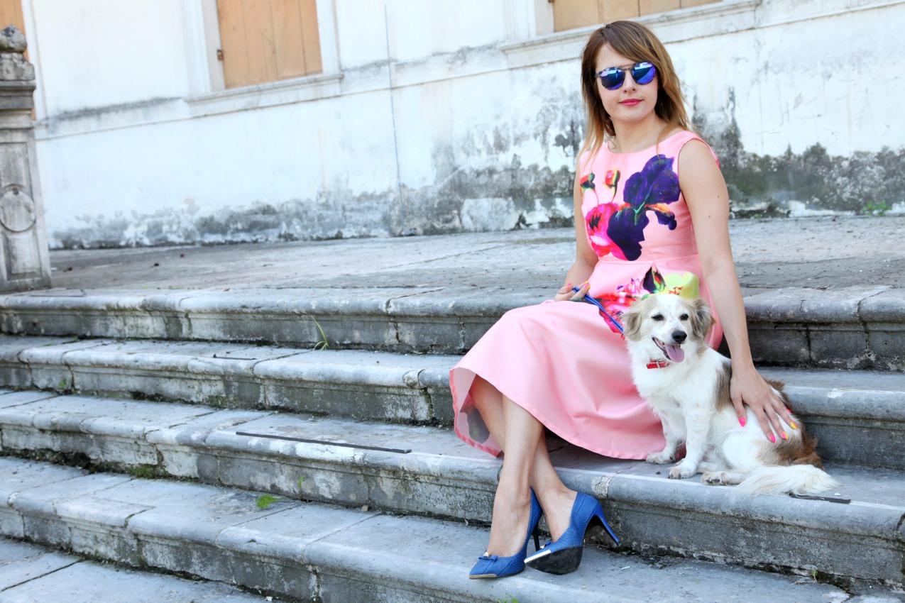 Mongrelpet: il meglio per i nostri animali, alessia milanese, thechilicool, fashion blog, fashion blogger