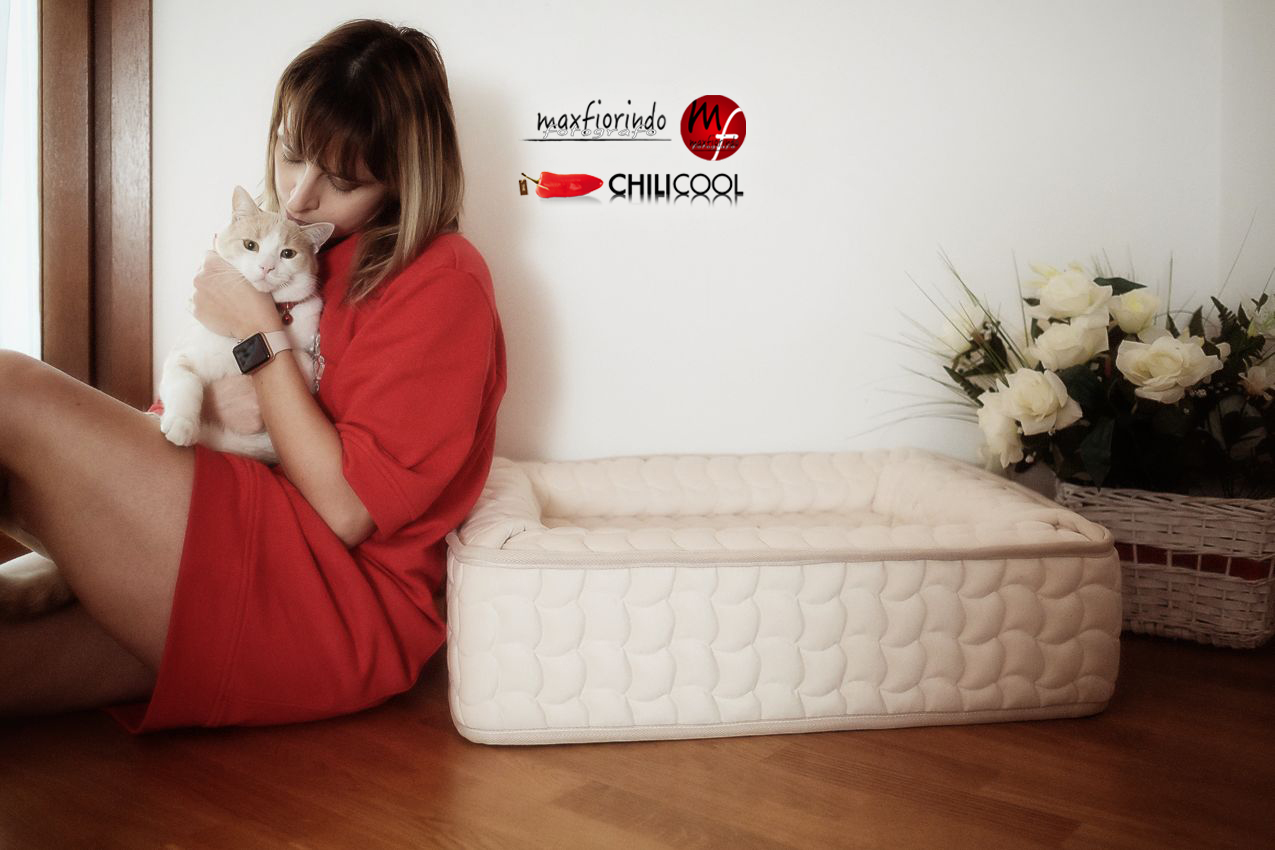 #ChiliHome: relax per i nostri amici a quattro zampe con Vir Manifattura Italiana, alessia milanese, thechilicool, lifestyle blog, lifestyle blogger